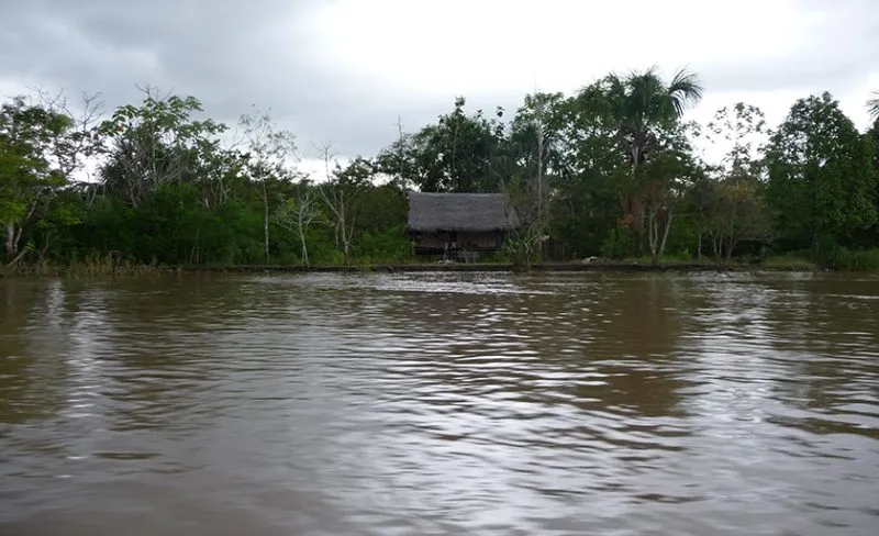 дом на сваях, берег Амазонки