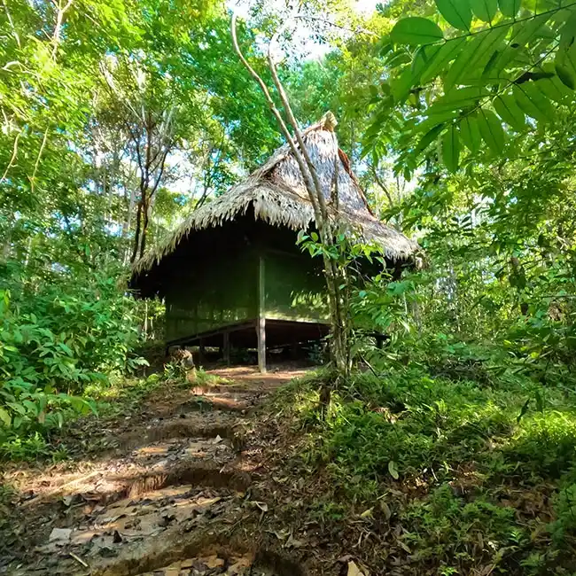 домик для Аяуаска ретрита в джунглях Перу