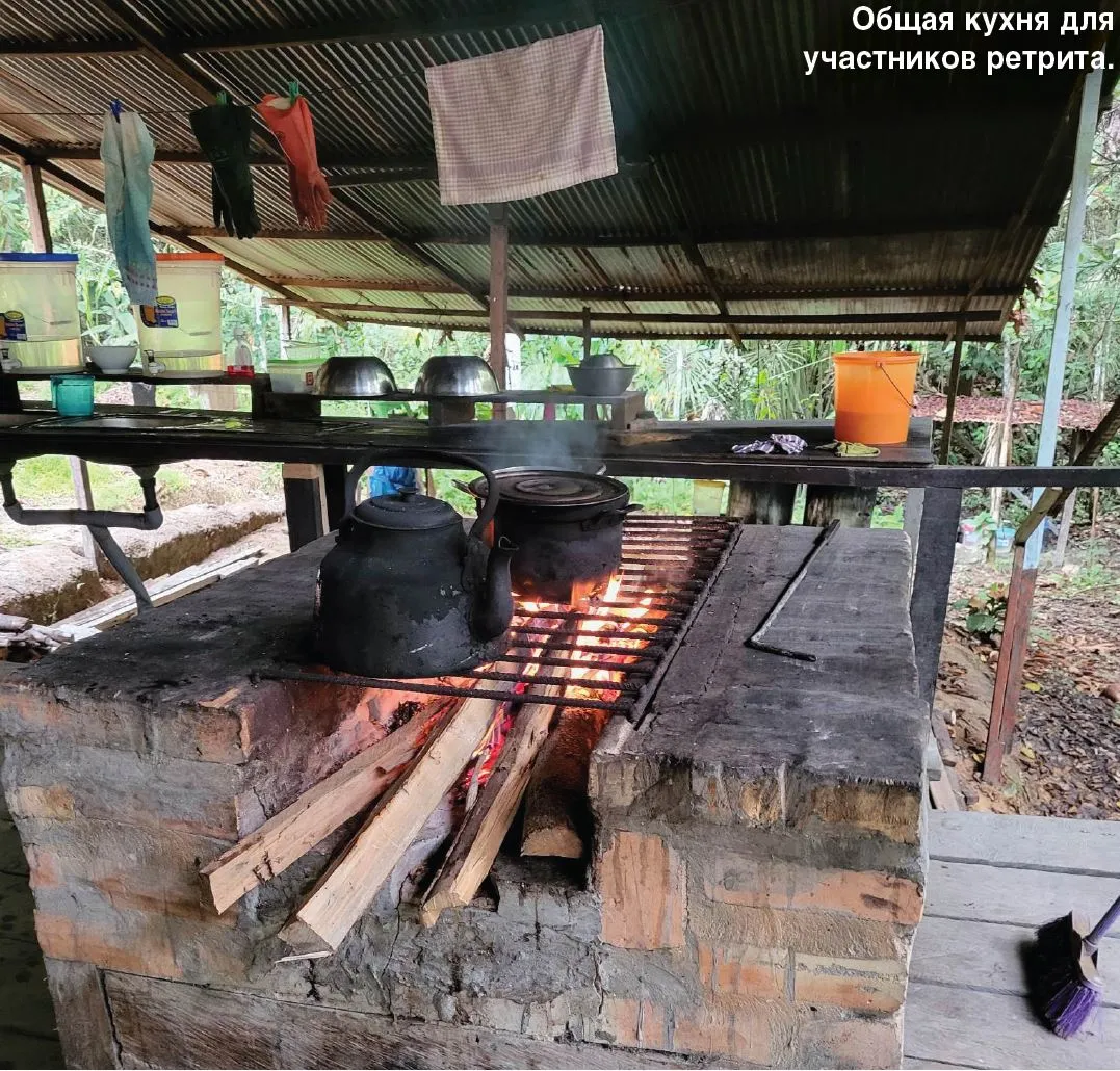 общая кухня для участников айваска ретрита