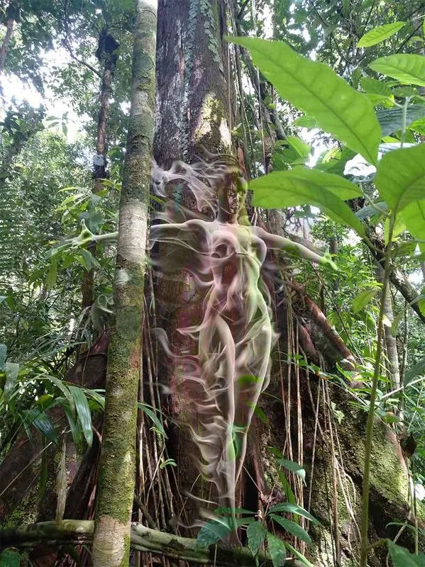 Spirit of Master Plant in selva