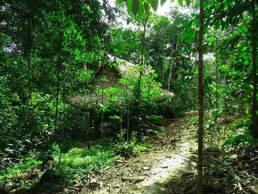 домик в джунглях Перу для ретрита с аяуаской