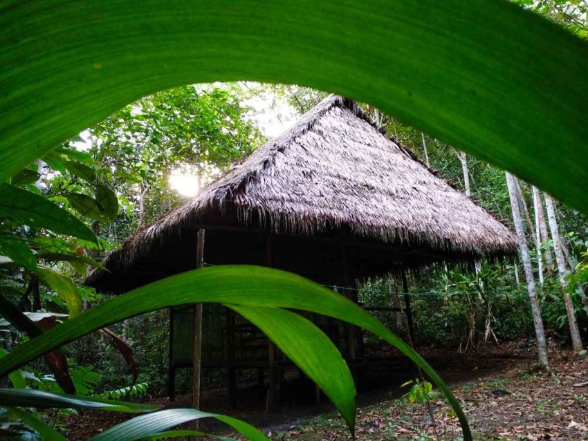 hütte bei home of ayahuasca