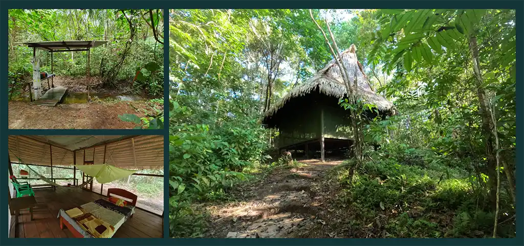 ayahuasca retreat safety houses