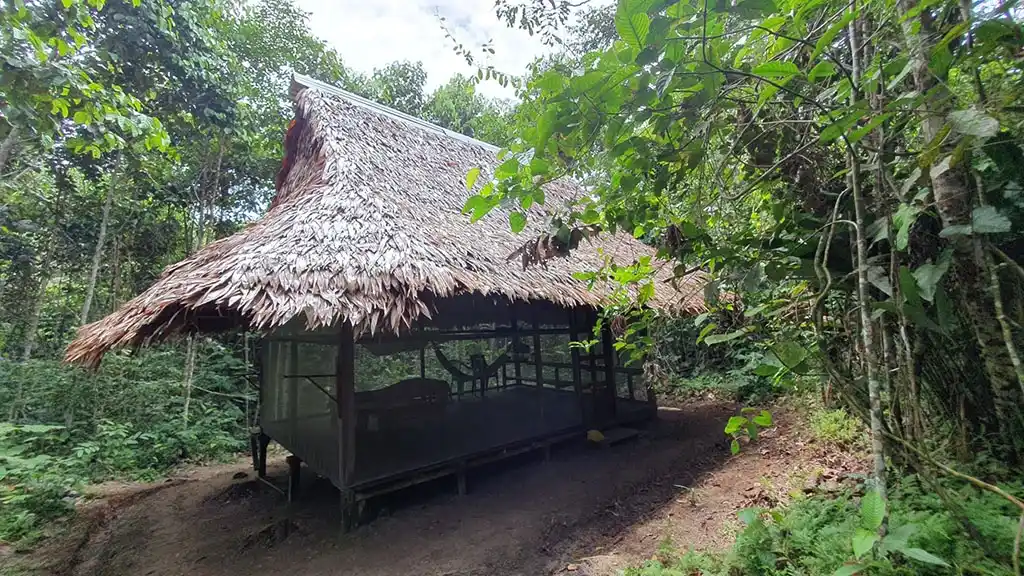 ayahuasca retreat review from Dimm