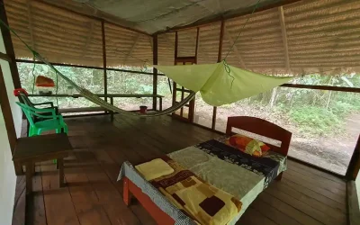 “Amazing retreat place for a deep dive”. Ayahuasca retreat review from Maria