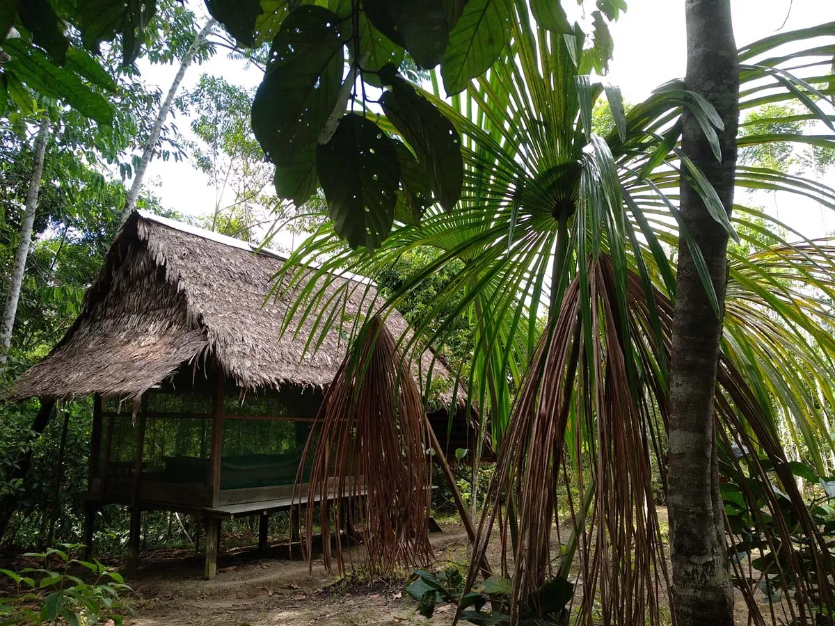 ayahuasca retreat bungalow at Home of Ayahuasca, review from Irina