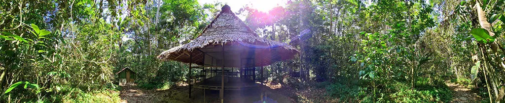 Home of Ayahuasca, a private retreat in the Peruvian jungle