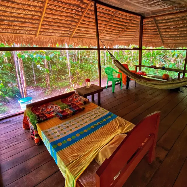 аяуаска-ретрит, домик в джунглях Перу
