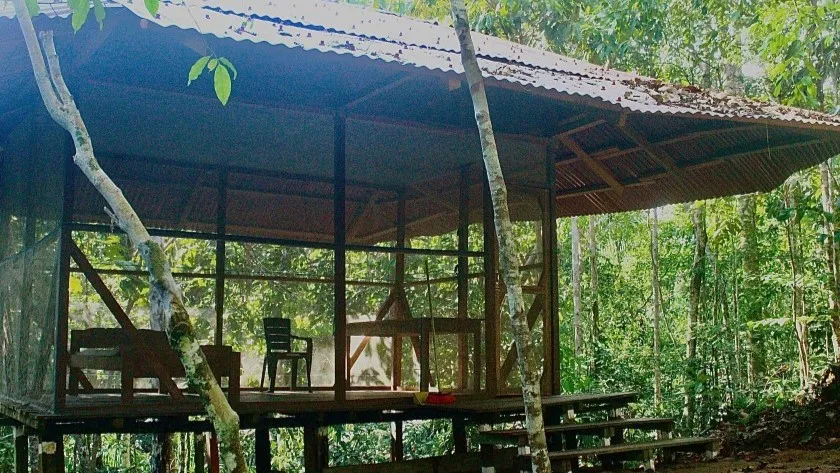Ayahuasca-Retreat für 2 Wochen
