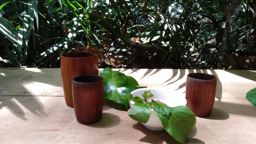 Ayahuasca-Ritus für 3 Wochen